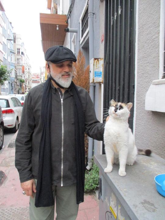 Istanbul during Lockdown when cats really missed human beings.